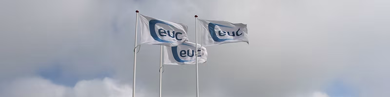 Banner & Flag